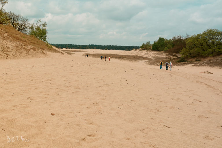 Dünenlandschaft