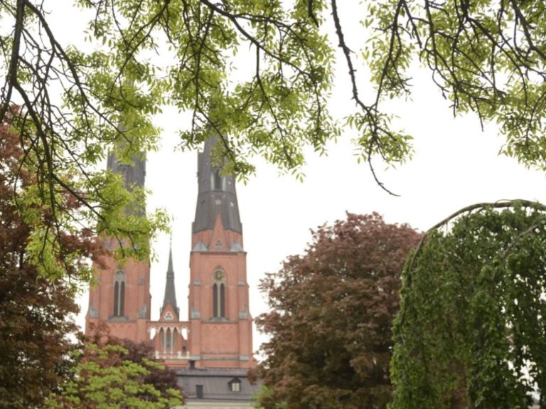 Der Dom zu Uppsala