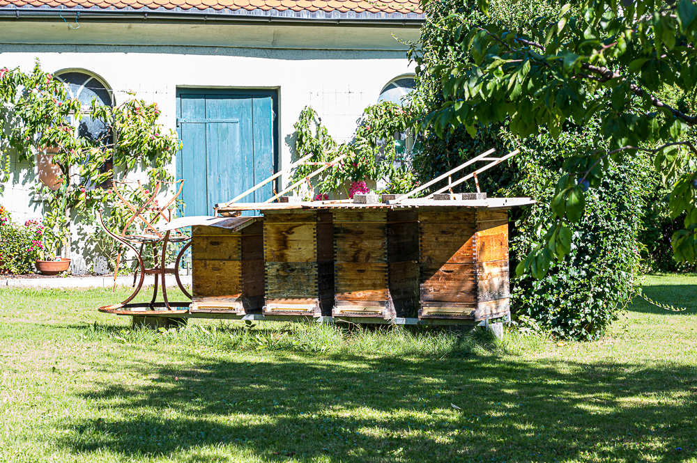 Bienenstöcke im Vorgarten
