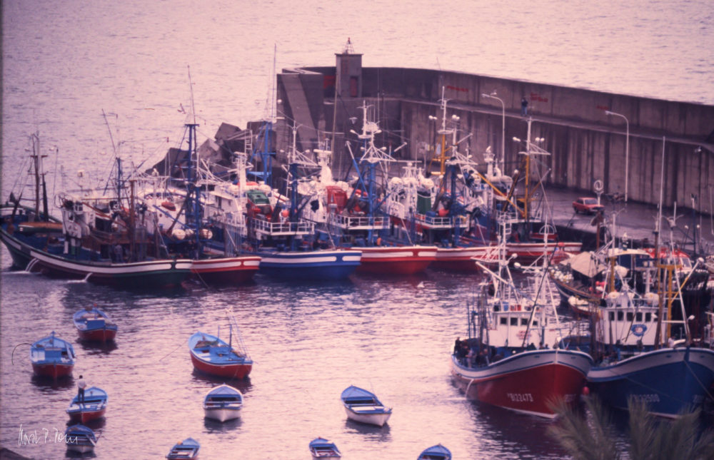 Hafen 1984