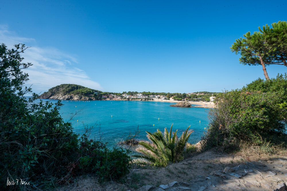 Blick zurück