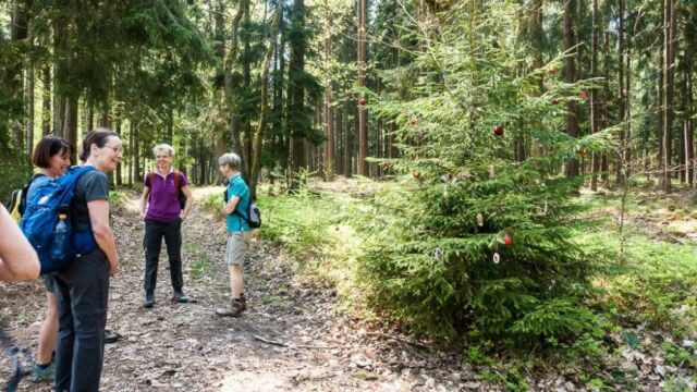 Weihnachtlich glänzet der Wald... Weihnachtlich glänzet der Wald...