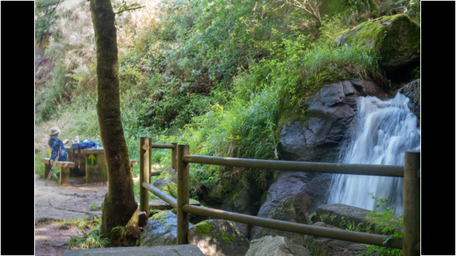 Rast am Weg Rast am Weg