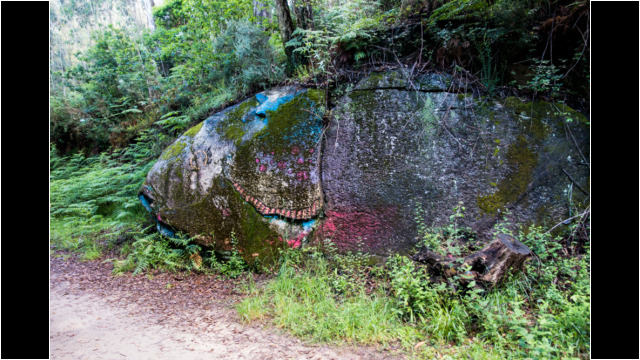 Walfisch am Weg Walfisch am Weg