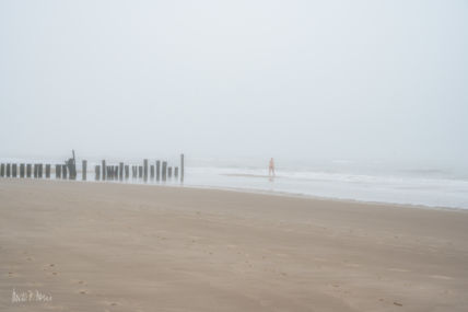 Foggy Morning