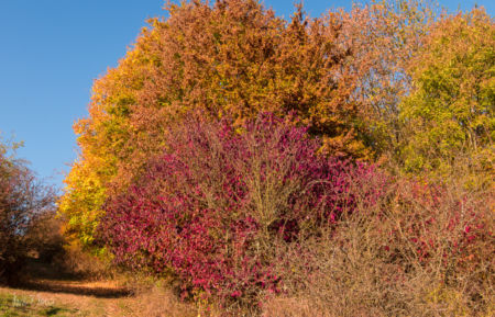 Herbstspaziergang