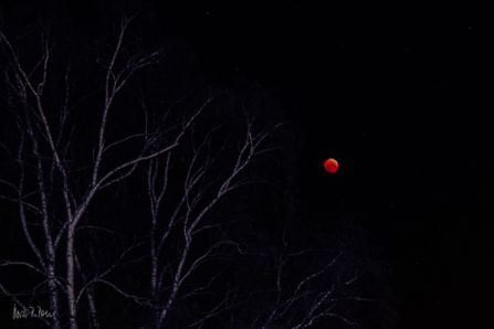 Blutmond 2019