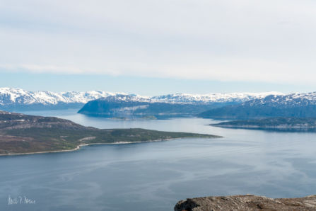 Lofoten